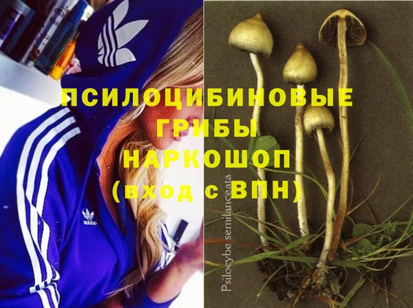 трава Арсеньев